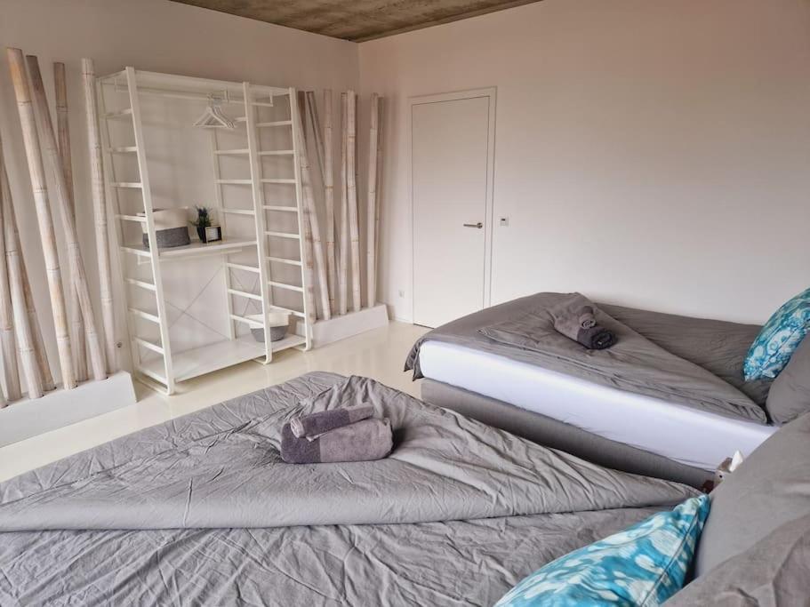 Exklusives Design-Penthouse Mc1 Apartment Seligenstadt Exterior photo